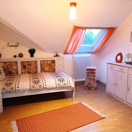 Ferienwohnungen Finke Frankenau Luaran gambar